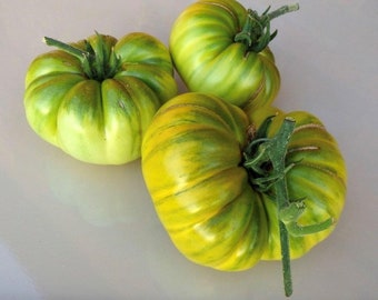 Aunt Ruby's German Green Tomato Seeds | Heirloom | Organic