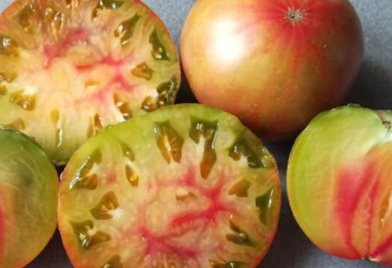 Captain Lucky Tomato Seeds