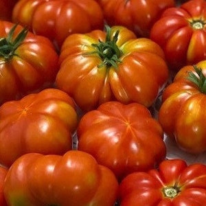 Rosso Siciliaanse Tomatenzaden | Erfstuk