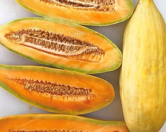 Banana Melon Seeds | Heirloom