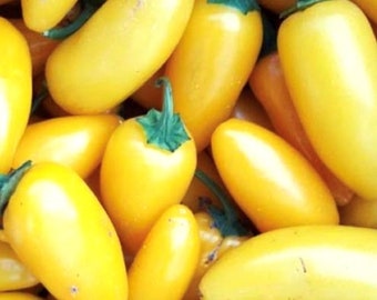 Lemon Spice Jalapeno Pepper Seeds