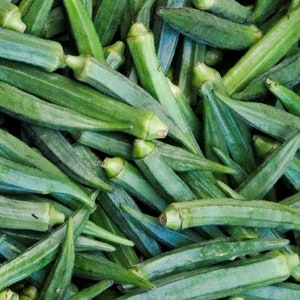 Perkins Long Okra Seeds | Heirloom