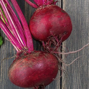 Crosby Egyptian Beet Seeds | Heirloom