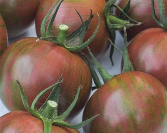 Purple Bumble Bee Tomato Seeds | Heirloom
