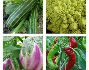 Collezione di verdure italiane / Semi