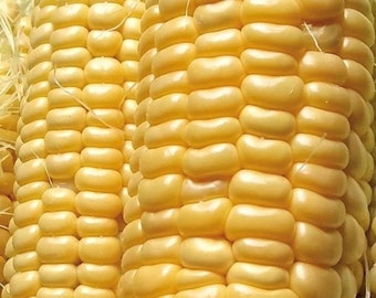 Golden Bantam Corn Seeds