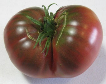 Carbon Tomato Seeds | Heirloom | Organic