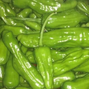 Golden Greek Pepperoncini Seeds | Heirloom