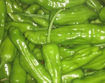 Graines de piments grecs dorés | Variété ancienne