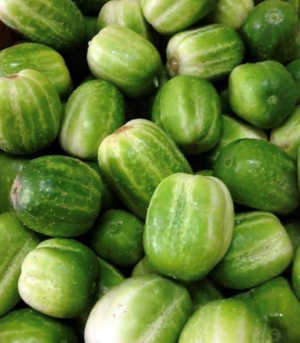 Persian cucumber seeds - Etsy 日本