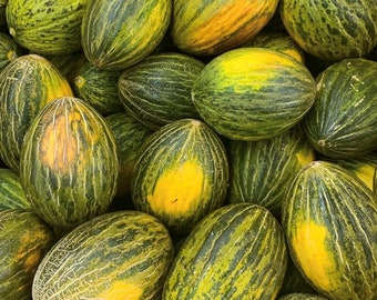 Piel De Sapo Melon Seeds | Heirloom