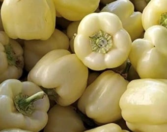 White Cloud Pepper Seeds