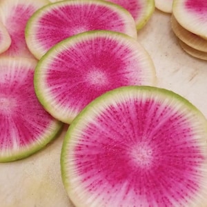 Watermelon Radish Seeds | Heirloom