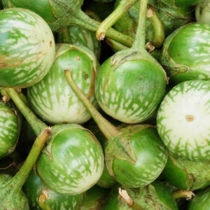 Thai Round Eggplant Seeds | Heirloom