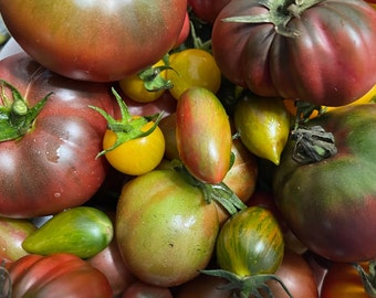 Heirloom Tomato Seed Mix | Heirloom