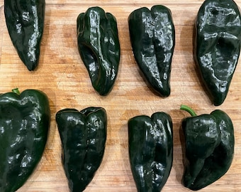 Poblano Pepper Seeds | Hot | Heirloom