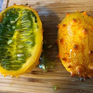 Jelly Melon Seeds | Heirloom | Aka African Horned Cucumber | Kiwano | Organic