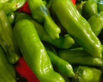 Graines de piments Pepperoncini italiens | Variété ancienne | Biologiques
