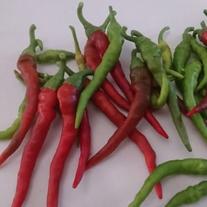 Long Red Thin Cayenne Pepper Seeds | Hot | Heirloom