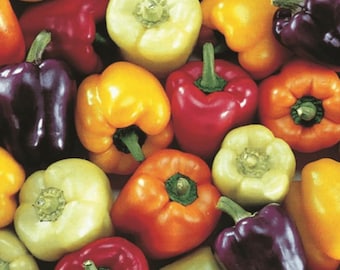 Rainbow Bell Pepper Mix | Seeds