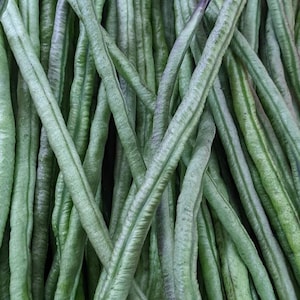 Dark Green Yard Long Bean Seeds
