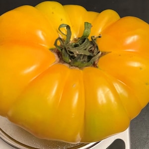 Lillian&#39;s gele tomatenzaden | Erfstuk