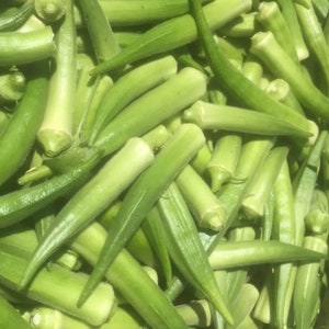 Emerald Okra Seeds | Heirloom