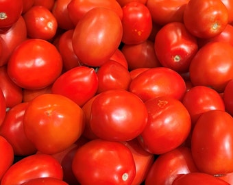Roma Tomato Seeds | Heirloom