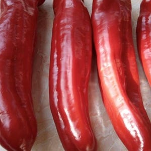 Giant Aconcagua Pepper Seeds | Heirloom