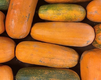 Long Pie Pumpkin Seeds | Heirloom | Organic