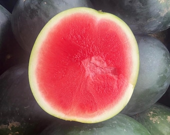Black Diamond Watermelon Seeds | Heirloom | Organic
