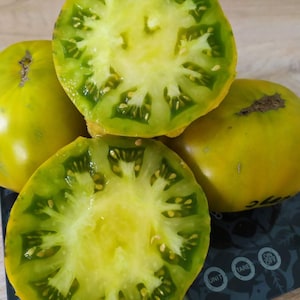 常緑トマトの種子 | 伝統品種