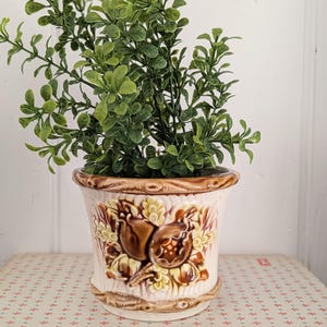May include: A ceramic plant pot with a detailed brown and cream floral design, holding a vibrant green plant. The pot has a decorative rim and base, adding to its vintage appeal. The plant's lush foliage contrasts with the pot's earthy tones.
