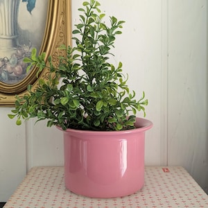May include: A pink ceramic plant pot filled with a green leafy plant. The pot is round with a slightly flared rim. The plant pot is sitting on a book with a patterned cover. A framed painting is in the background.