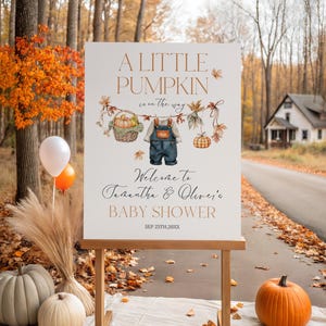 May include: A wooden easel displays a baby shower sign with the text "A Little Pumpkin is on the way." The sign features illustrations of pumpkins and overalls. Pumpkins, balloons, and fall foliage decorate the scene.