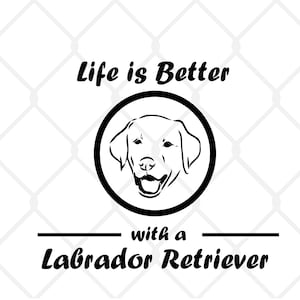 Life is Better with a Labrador Retriever