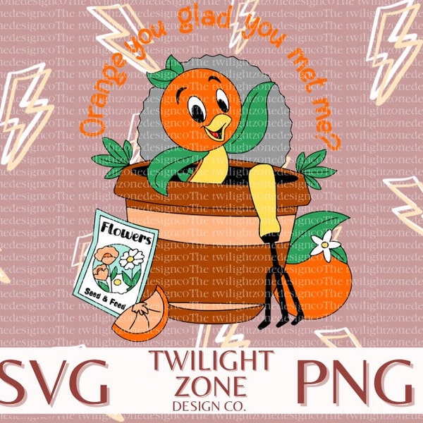 Orange you glad? SVG | easy cut file for Cricut, Layered by colour. PNG | colour file for printing and sublimination