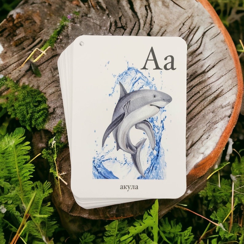 May include: A white card with the letter "A" and the word "akula" printed on it. The card features a watercolor illustration of a shark jumping out of the water.