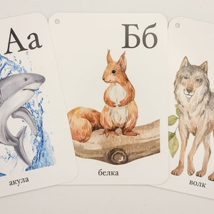 May include: Three flashcards with watercolor illustrations of a shark, a squirrel, and a wolf. The flashcards are labeled with the Russian alphabet letters "Aa", "Бб", and "Вв" and the corresponding Russian words for shark, squirrel, and wolf.