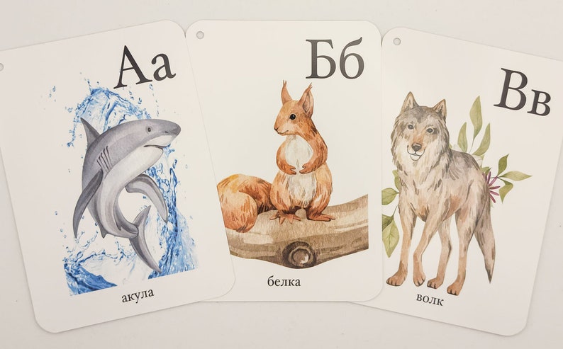 May include: Three flashcards with watercolor illustrations of a shark, a squirrel, and a wolf. The flashcards are labeled with the Russian alphabet letters "Aa", "Бб", and "Вв" and the corresponding Russian words for shark, squirrel, and wolf.