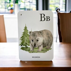 Cartes flash de l'alphabet ukrainien