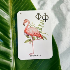 May include: A white card with a pink flamingo illustration and green foliage. The card has the letter "F" written in gold and the word "flamingo" written in black at the bottom.