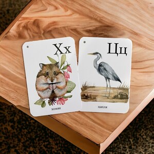 May include: Two white flashcards with black lettering and illustrations. The first card shows a hamster with the letter "X" and the word "хомik" (meaning hamster in Russian). The second card shows a heron with the letter "Щ" and the word "цапля" (meaning heron in Russian).