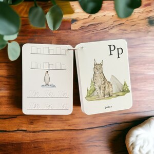 May include: A white card with a black and white illustration of a penguin and dotted lines for tracing the letter "P". On the opposite side of the card is a colorful illustration of a lynx with the letter "Pp" and the word "lynx" in Russian.
