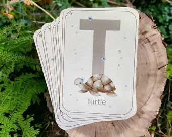 English Alphabet Flashcards