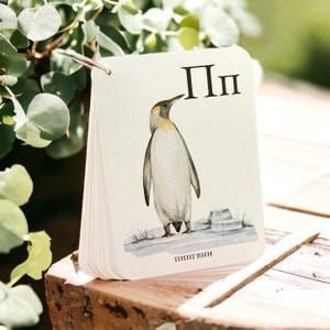 May include: A white card with the Russian letter "П" and the word "пингвин" (penguin) printed on it. A watercolor illustration of a penguin is shown on the card.