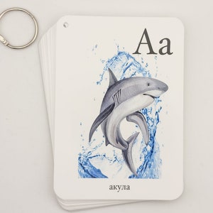 May include: A flashcard with the letter A and a watercolor illustration of a shark jumping out of the water. The word "akula" is written below the image, which is the Russian word for shark.
