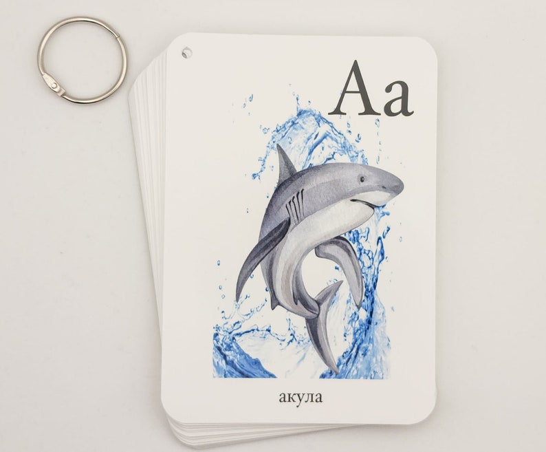 May include: A flashcard with the letter A and a watercolor illustration of a shark jumping out of the water. The word "akula" is written below the image, which is the Russian word for shark.