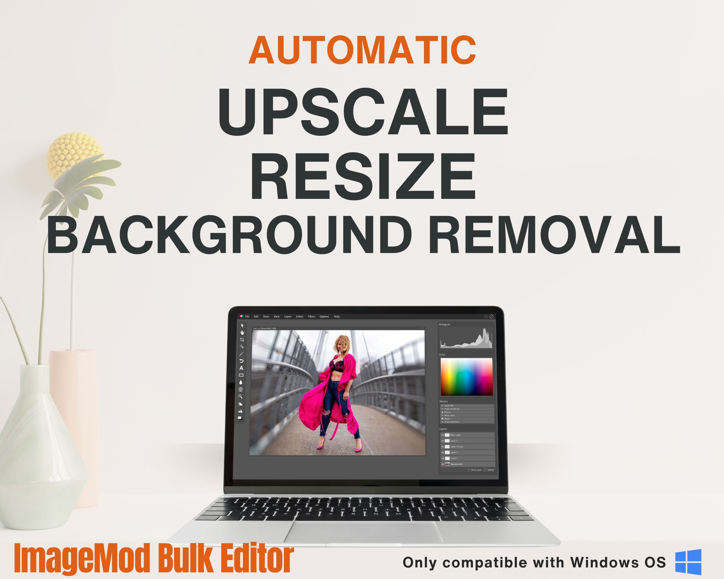 Bulk Image Upscaler, Resizer, Background Remover. Program for