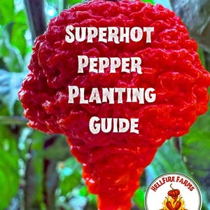 May include: A vibrant red superhot pepper with the text "SUPERHOT PEPPER PLANTING GUIDE" in white. The pepper is in focus, with a blurred green background. A circular logo for Hellfire Farms is in the lower right corner.